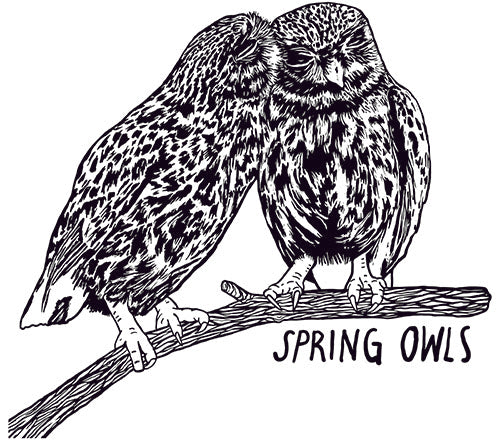Spring Owls